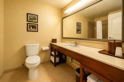 a bathroom with a toilet and a large mirror at Comfort Inn Pomona near Fairplex in Pomona