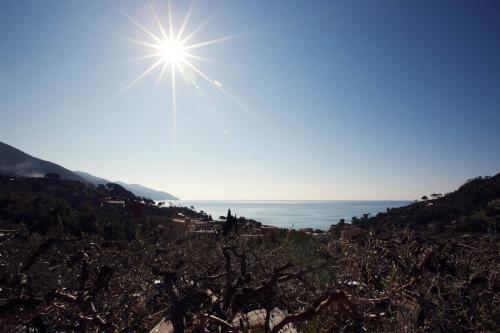 a view of the ocean from a hill at B&B Il Parco in Monterosso al Mare