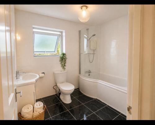 a bathroom with a toilet and a tub and a sink at The Greenmount in Westport