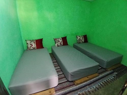 two beds in a room with a green wall at Gite Ain Bechar in Taza