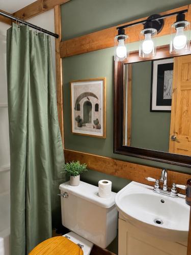 a bathroom with a toilet and a sink and a mirror at Brooks Place in Deer Lake
