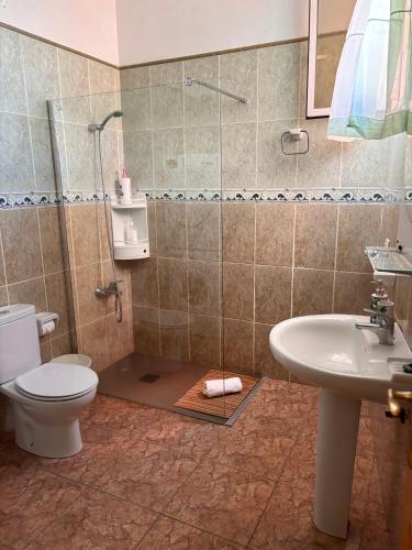 a bathroom with a shower and a toilet and a sink at Chalet Rutas de Valsequillo in Valsequillo