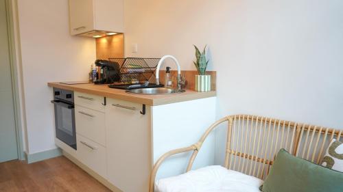 a small kitchen with a sink and a counter at Le Perchoir d'Orthez in Orthez