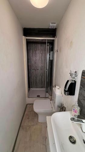 a bathroom with a toilet and a sink and a shower at Singleton Double Studio Room with Private En-Suite in Sketty