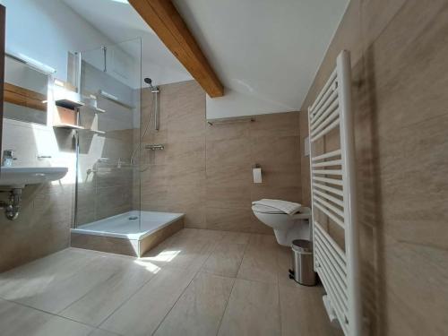 a bathroom with a shower and a toilet and a sink at Haus Planegg XL in Rangersdorf