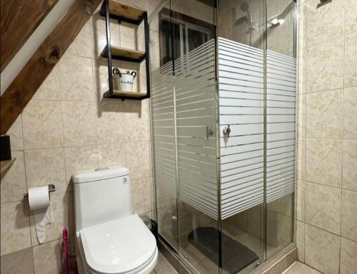 a bathroom with a toilet and a glass shower at Los boldos in Concón