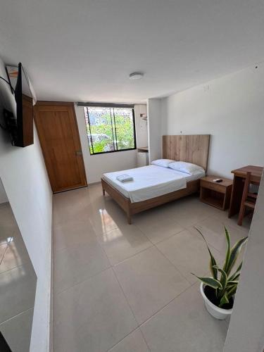 a bedroom with a bed and a potted plant in it at ApartaHotel Los Naranjos in Apartadó