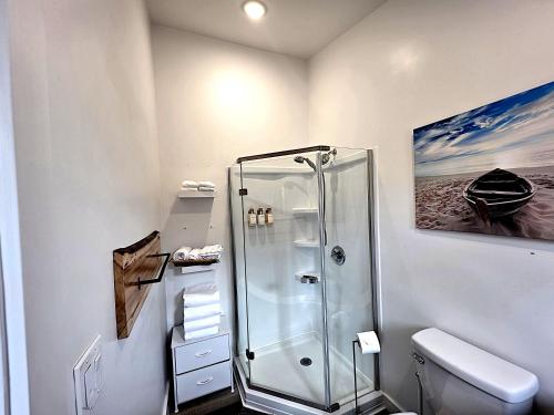 a bathroom with a shower and a toilet at Bluff Hideaway - Guest House in Homer