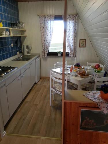 a kitchen with a sink and a table in a room at Eitzmanns Ferienhauser in Düshorn