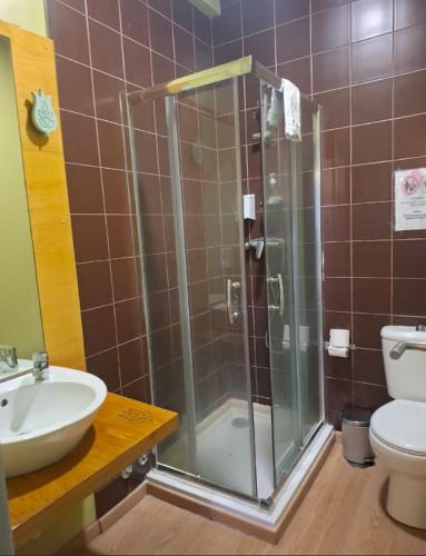 a bathroom with a shower and a sink and a toilet at Hotel Vitoria in Santarém