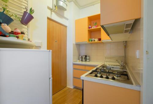 Kuchyň nebo kuchyňský kout v ubytování Apartment Witty Please