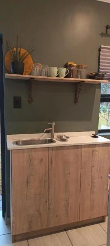 a kitchen with a counter with a sink and shelves at Net 'n Bed in Middelburg