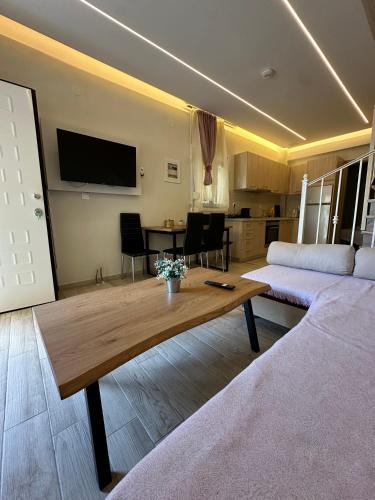 Artemis HOME