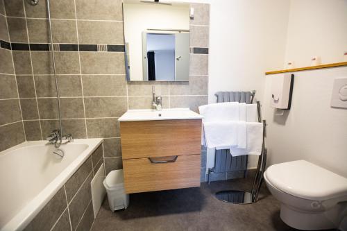 a bathroom with a sink and a toilet and a mirror at HOTEL DE LA POMME D'OR in Bar-sur-Aube