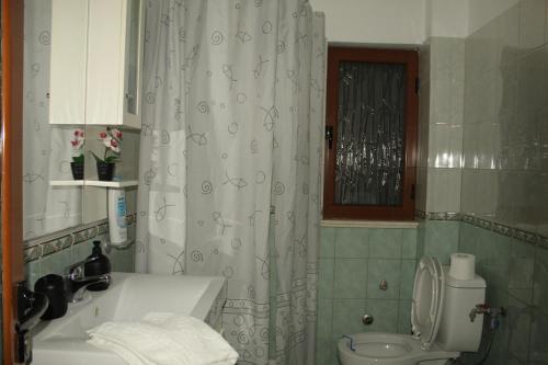 a bathroom with a toilet and a shower curtain at Vila Sosana in Qeparo