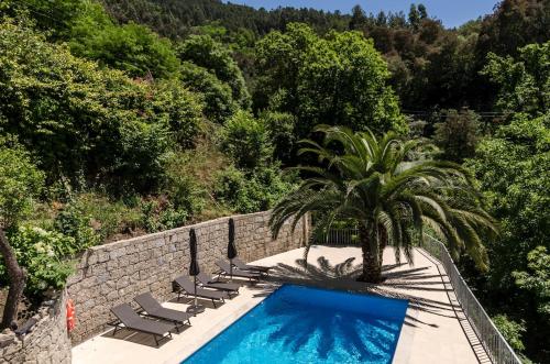 a swimming pool with lounge chairs and a palm tree at Chalet Villas Gerês in Geres