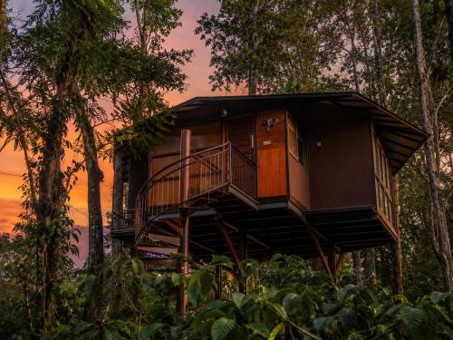 a tree house in the forest at sunset at Pugmarks Jungle Resort in Chegāt