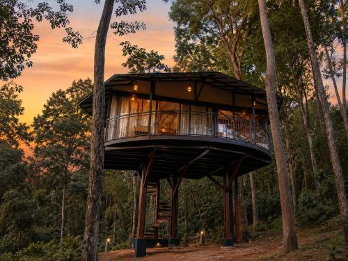 a tree house in the middle of the forest at Pugmarks Jungle Resort in Chegāt