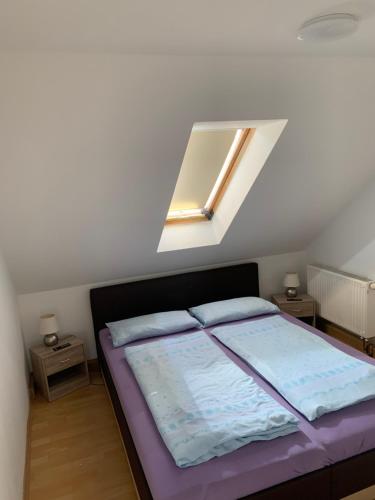a bedroom with a bed with a skylight at Ferienwohnung Geiseltalsee Frankleben in Frankleben