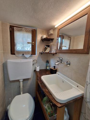 a small bathroom with a toilet and a sink at Cà Gianarín Authentic Dolomites Escape in Bocenago