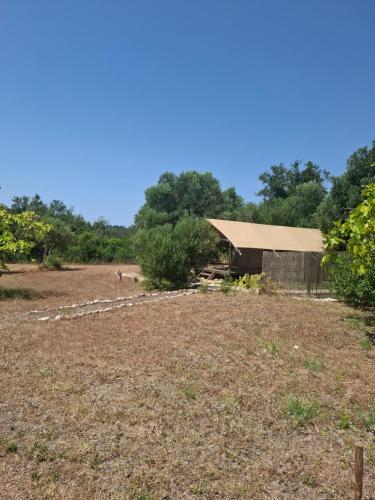 Poco Novo Lodges Loulé Algarve Glampingzelt Couple