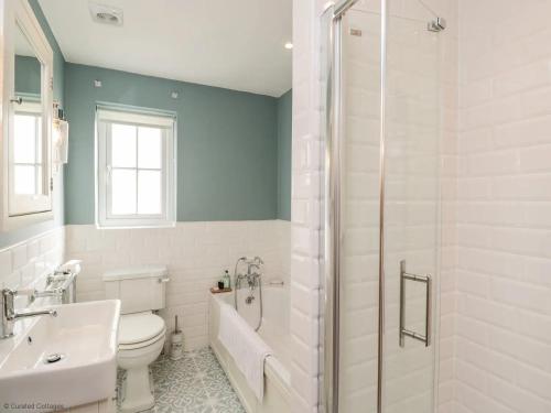 a bathroom with a toilet and a sink and a shower at Fisherbridge Cottage in Weymouth
