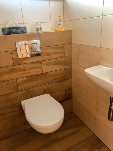 a bathroom with a toilet and a sink at Apartmán Albrechtice 97 in Albrechtice v Jizerských horách