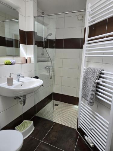 a bathroom with a sink and a glass shower at Ferienresidenz Am Strom in Warnemünde
