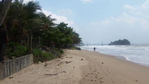 una playa con palmeras y una persona caminando en ella en Blue Waters, en Matara