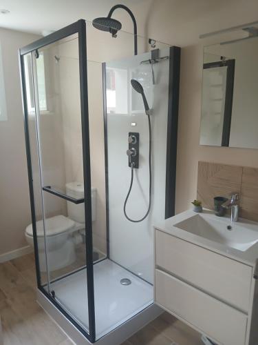 a bathroom with a shower with a toilet and a sink at Bizi logela in Bidarray