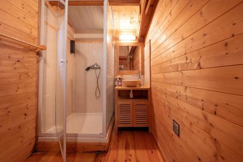 a bathroom with a walk in shower and a sink at Chalet Ty Kerouannec in Guilligomarcʼh