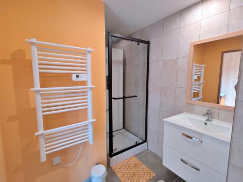 a bathroom with a shower and a sink at Chambre Jonquille in Rehaupal