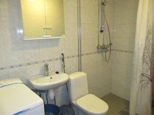 a bathroom with a toilet and a sink at Lapin Kutsu Holiday Homes in Saariselka