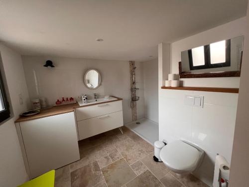 a bathroom with a toilet and a sink and a mirror at Le CRAMPOT in Lectoure