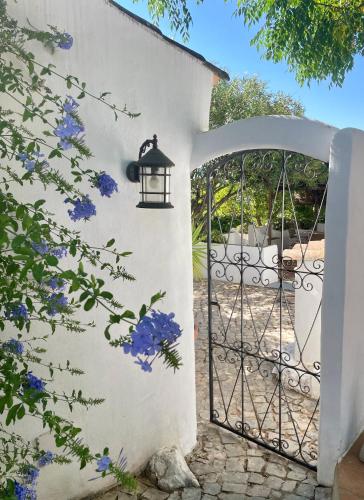 Villa Monte das Uvas