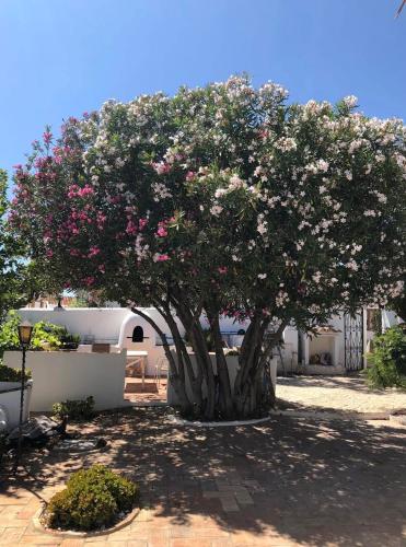 Villa Monte das Uvas