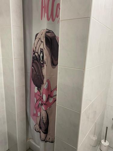 Apartamento- loft en recinto privado - Terapia Salada