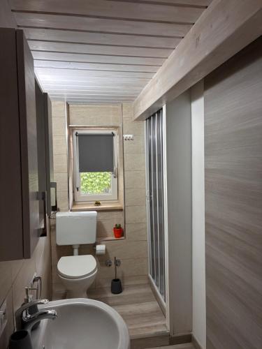 a small bathroom with a toilet and a sink at B & B Sotto al lago in Nemoli