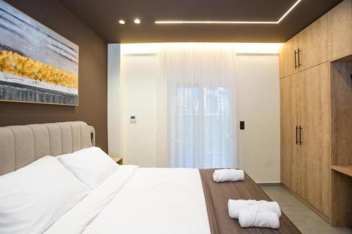 Luxury apartments near athens city center