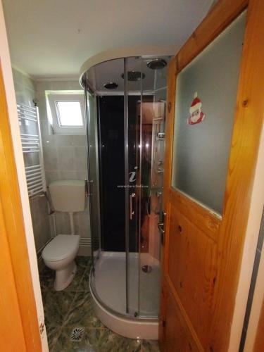 a bathroom with a shower and a toilet at Casa Riciu in Buşteni