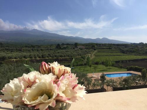 a bouquet of flowers in a vase on top of a building at Feudo Vagliasindi -Wine Experience- in Randazzo