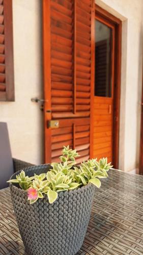a vase with flowers on a table in front of a door at Apartment Diana in Komiža