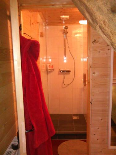 a bathroom with a shower with a red towel at B&B De Luttikhoeve in Giethmen