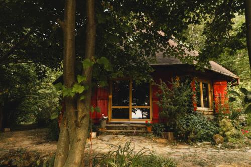 a small red house with a window and a tree at Bukowica Miła - Dom z sauną w sercu Natury 2000 in Wola Piotrowa