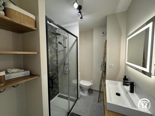 a bathroom with a shower and a toilet and a sink at Le rêve bleu in Collioure