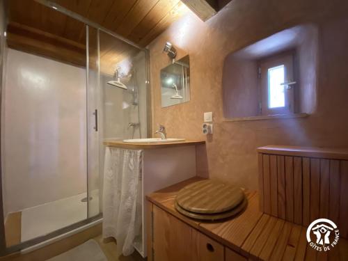 a bathroom with a shower and a toilet and a sink at Le gîte de l'encantade in Trévillach