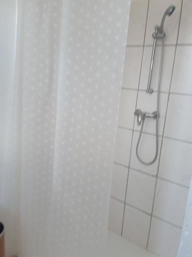 a shower with a shower head in a bathroom at Joli hébergement indépendant in Lavelanet
