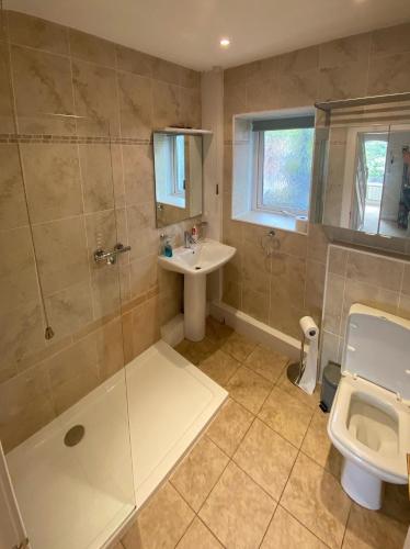a bathroom with a shower and a sink and a toilet at Phoenix Cottage in Kippford