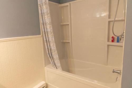 a bathroom with a shower and a white tub at Tranquil Retreats on Robinson in Moncton