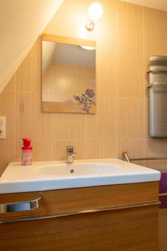 a bathroom with a sink and a mirror at La forge 2/5 personnes in Saint-Pierre-de-Nogaret